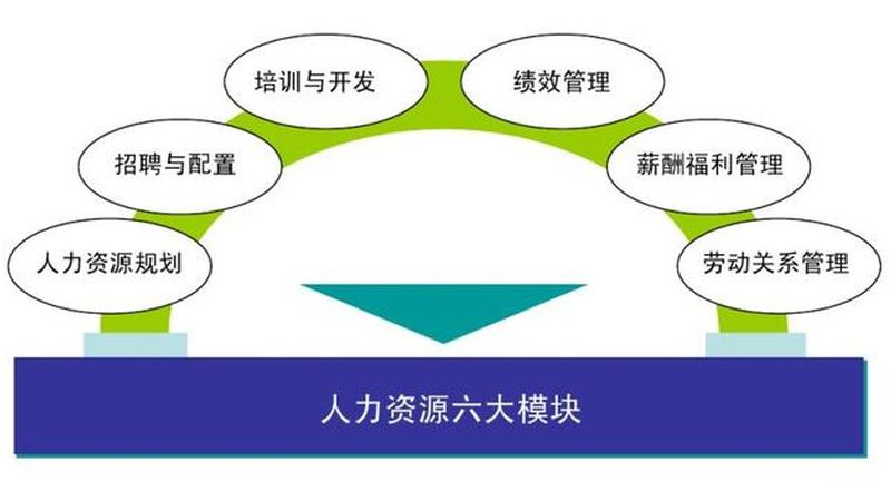 人才测评参数设置：解码企业选人标准